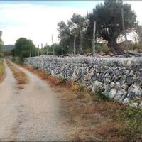 Land plot in Spain, Balearic Islands, Palma