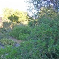 Земельный участок в Испании, Балеарские Острова, Пальма