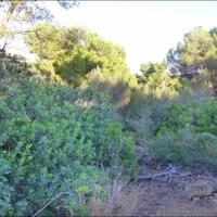 Земельный участок в Испании, Балеарские Острова, Пальма