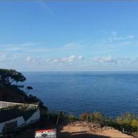 Другое в Испании, Балеарские Острова, Пальма, 606 кв.м.