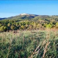 Земельный участок в Испании, Балеарские Острова, Пальма