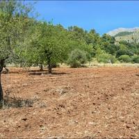 Вилла в Испании, Балеарские Острова, Пальма, 80 кв.м.