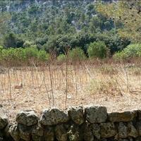 Вилла в Испании, Балеарские Острова, Пальма, 80 кв.м.