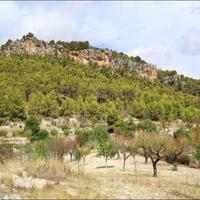 Земельный участок в Испании, Балеарские Острова, Пальма