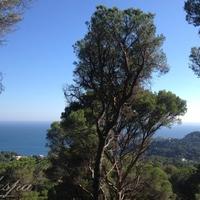 Земельный участок в пригороде в Испании, Каталония, Жирона