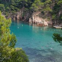 Земельный участок в пригороде в Испании, Каталония, Жирона