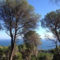 Земельный участок в пригороде в Испании, Каталония, Жирона