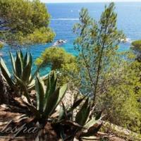 Land plot at the first line of the sea / lake, in the suburbs in Spain, Catalunya, Girona