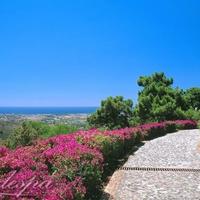 Дом в пригороде в Испании, Андалусия, 2000 кв.м.