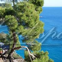 Вилла на первой линии моря/озера, в пригороде в Испании, Каталония, Жирона, 1450 кв.м.