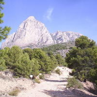 Пентхаус в Испании, Валенсия, Аликанте, 208 кв.м.