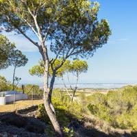 Villa in Spain, Comunitat Valenciana, Alicante, 250 sq.m.