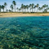 Вилла в Испании, Валенсия, Аликанте, 260 кв.м.