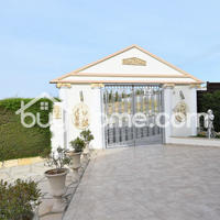 Дом на Кипре, Вааса