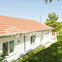 House in Republic of Cyprus, Vasa