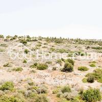 Апартаменты на Кипре, Лимасол, 89 кв.м.