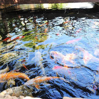 House in Republic of Cyprus, Eparchia Larnakas, Larnaca, 210 sq.m.