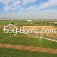 Дом на Кипре, Ларнака