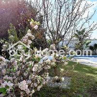 House in Republic of Cyprus, Larnaca, 270 sq.m.