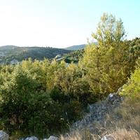 Land plot in Croatia, Medulin