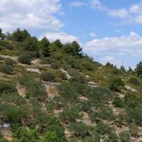 Land plot in Croatia, Istarska, Medulin