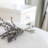 Квартира в Хорватии, Задарска, 50 кв.м.