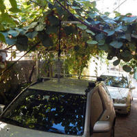 House in Croatia, Splitsko-Dalmatinska Zupanija, 320 sq.m.