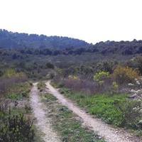 Land plot in Croatia, Medulin