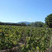 Дом на первой линии моря/озера в Италии, Вентимилья, 570 кв.м.