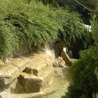 Flat in Bulgaria, Sunny Beach, 60 sq.m.