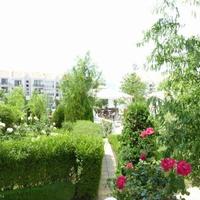 Flat in Bulgaria, Burgas Province, Elenite, 90 sq.m.