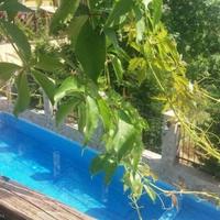 Квартира в Болгарии, Свети-Влас