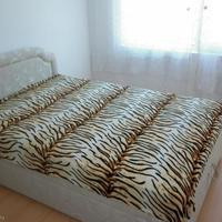 Квартира в Болгарии, Солнечный Берег