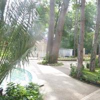 Квартира в Болгарии, Солнечный Берег, 102 кв.м.