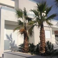 Вилла в Испании, Валенсия, Аликанте, 130 кв.м.