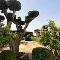 Villa in Spain, Comunitat Valenciana, Alicante