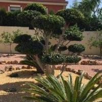 Вилла в Испании, Валенсия, Аликанте