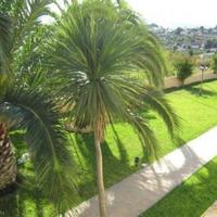 Вилла в Испании, Валенсия, Аликанте