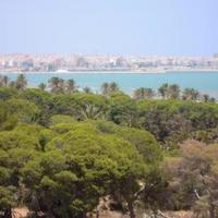 Квартира в Испании, Валенсия, Аликанте, 300 кв.м.