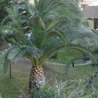 Апартаменты в Испании, Валенсия, Аликанте, 400 кв.м.