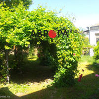 House in Bulgaria, Burgas Province, Elenite, 60 sq.m.