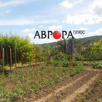 House in Bulgaria, Burgas Province, Elenite, 60 sq.m.