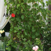 Квартира на первой линии моря/озера в Болгарии, Бургасская область, Елените, 60 кв.м.