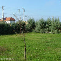 House in Bulgaria, Burgas Province, Sinemorets