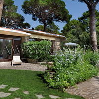 Villa in Italy, Toscana, Montalcino, 500 sq.m.