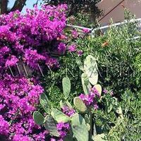 Дом в Италии, Пьенца, 140 кв.м.