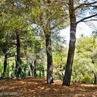 Дом на первой линии моря/озера в Испании, Каталония, Жирона