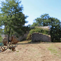 Дом в пригороде в Италии, Пьенца, 340 кв.м.