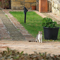 Villa in the suburbs in Italy, Palau, 540 sq.m.