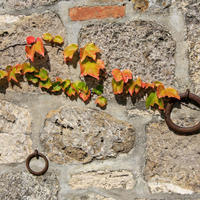 Villa in the suburbs in Italy, Palau, 540 sq.m.